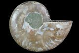 Agatized Ammonite Fossil (Half) - Madagascar #83833-1
